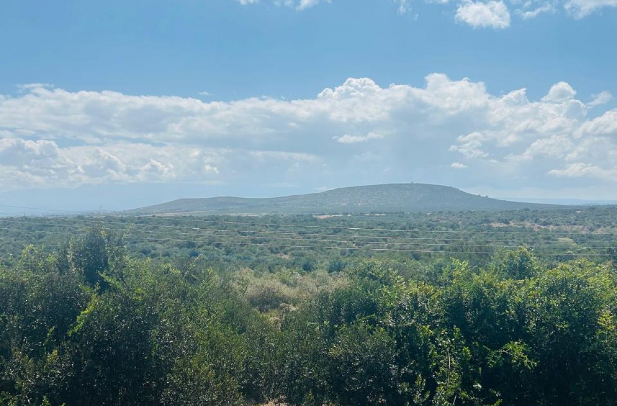 4 bedrooms AirBnB Muiga, Nyeri, Kenya